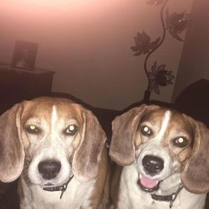 Meet your Posher, Marcos